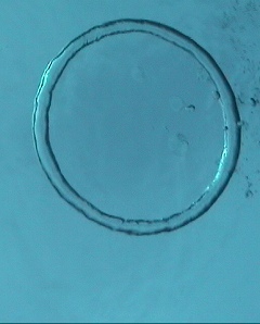 a0072036_3225350.jpg