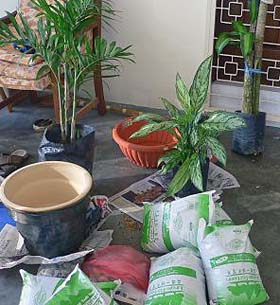 b0063436_2253440.jpg