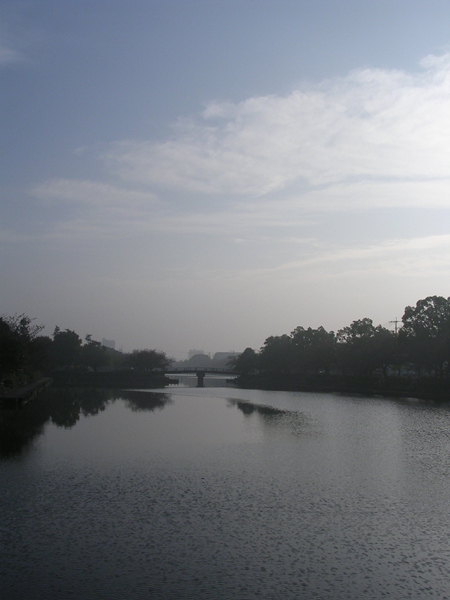 f0176239_1062089.jpg