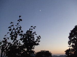 a0054240_2023438.jpg
