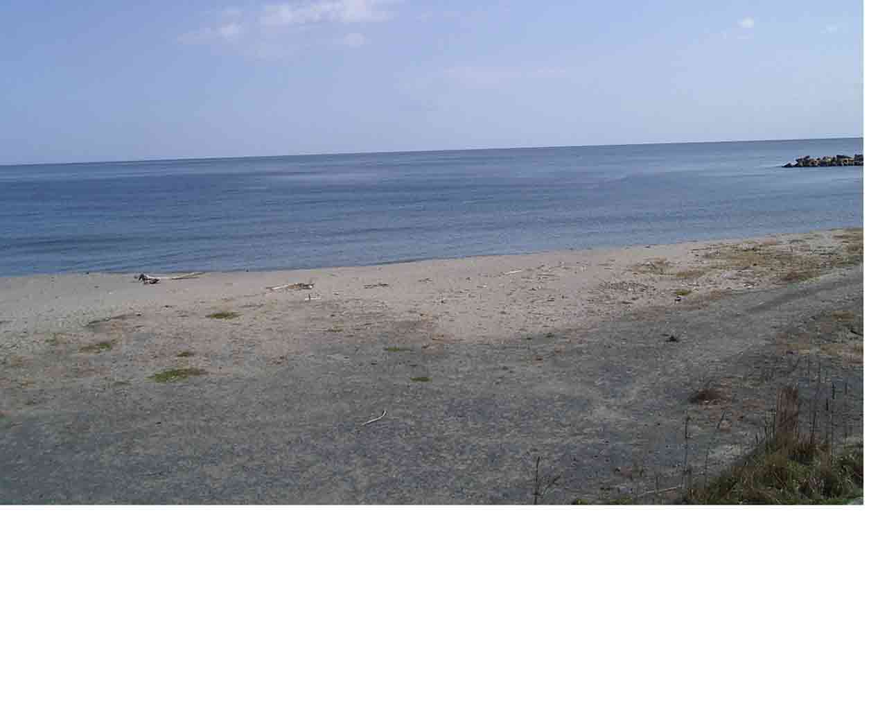 波情報 Barefootsurf 宮城県仙台市宮城野区 仙台新港 荒浜 波情報 Barefootsurf 宮城県仙台市宮城野区 仙台新港 荒浜