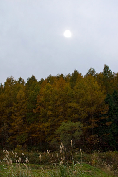f0147858_17521564.jpg