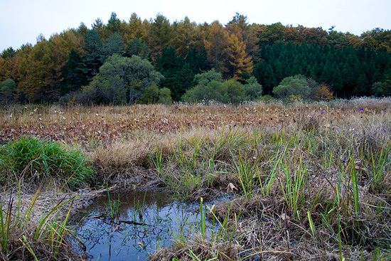 f0147858_17531875.jpg