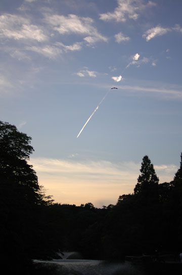 Picnic@INOGASHIRA PARK_d0086668_7384764.jpg