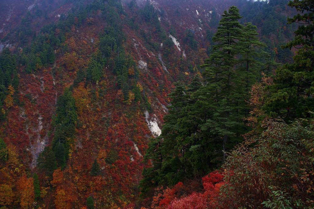 秋田の紅葉_b0076972_122591.jpg