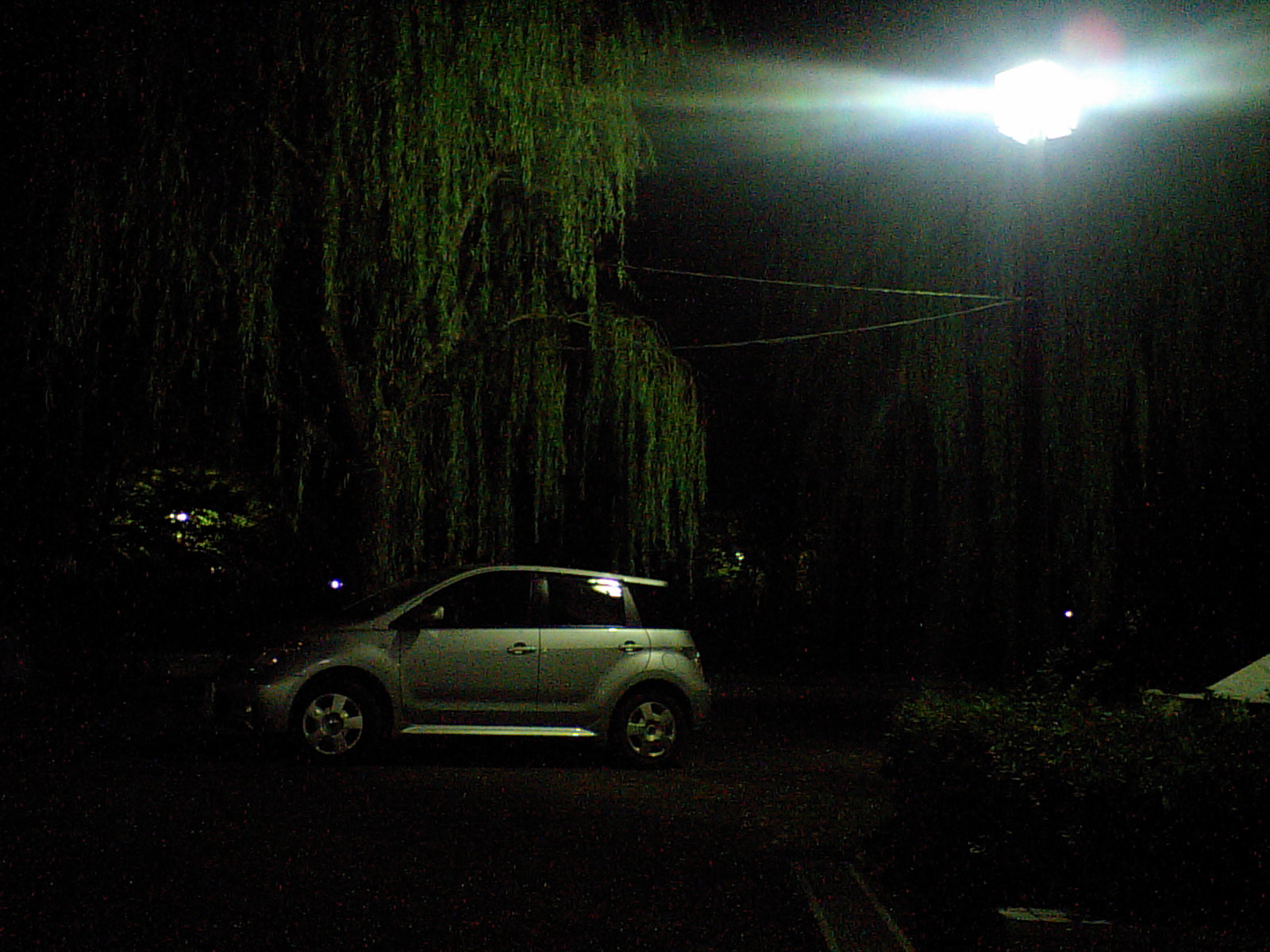c0038678_2218429.jpg