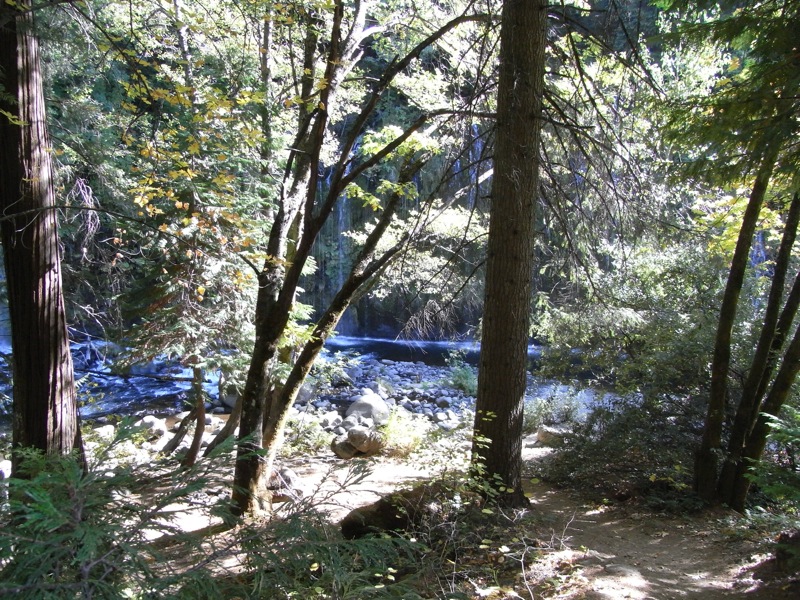 Shasta-6:モスブレー滝_c0173978_20553364.jpg