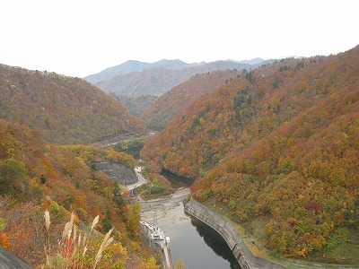 a0038882_16285042.jpg