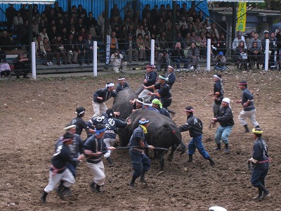 a0038882_16392919.jpg