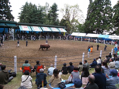 a0038882_1645618.jpg
