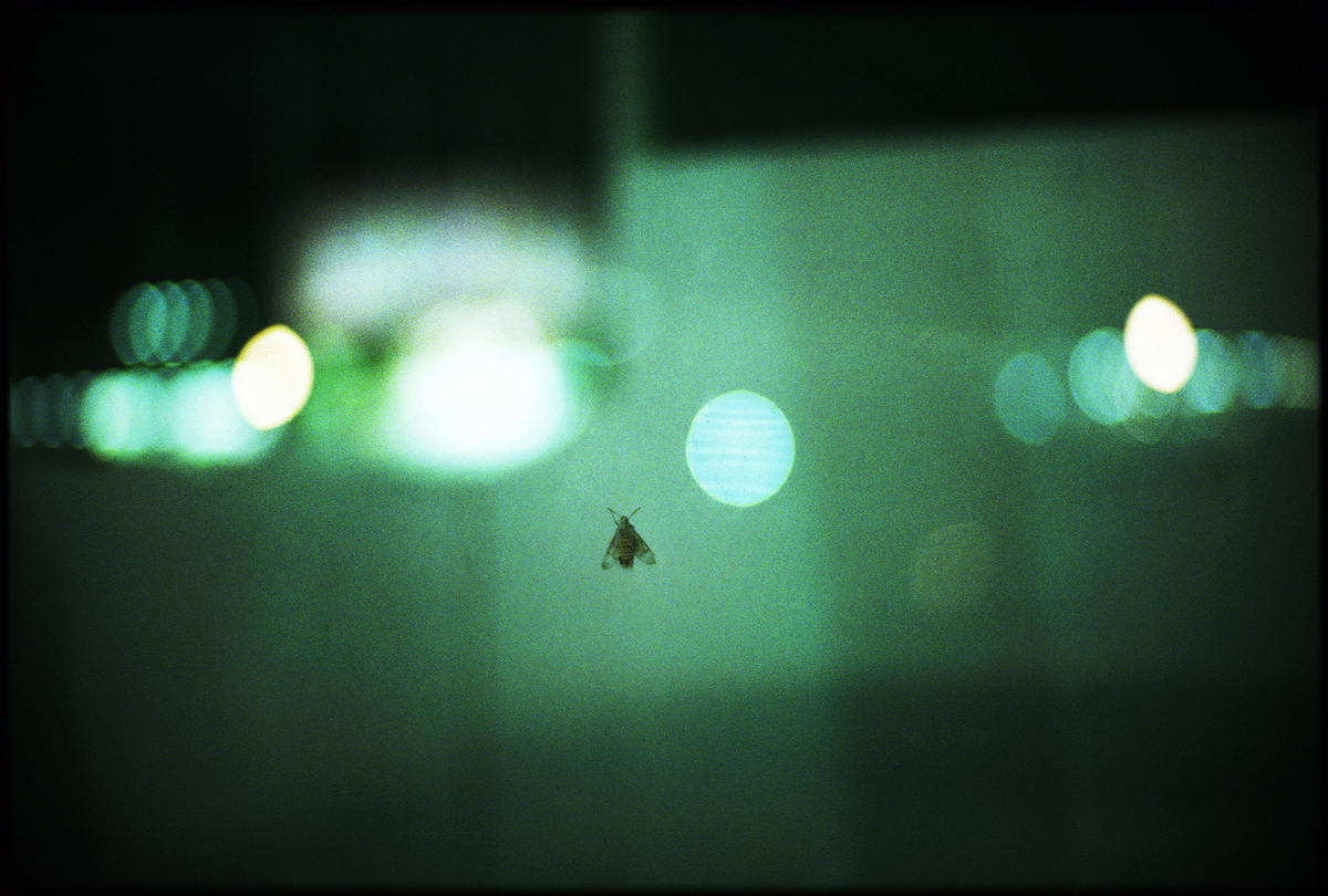 f0007294_2292589.jpg