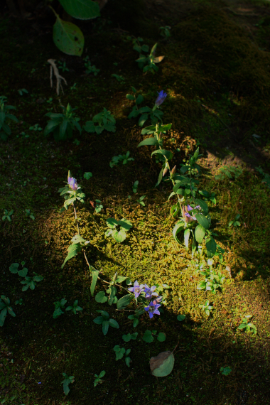 c0084097_2202812.jpg