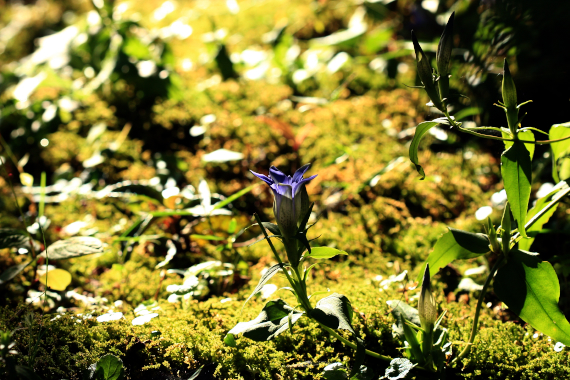 c0084097_2205528.jpg