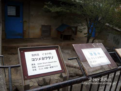 動物園の泣いた話と笑った話……_d0128697_1242758.jpg