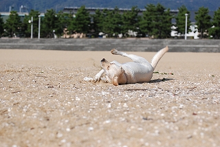 秋のいちにち～～海編～～_d0091700_23135791.jpg