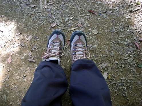 e0043700_014352.jpg