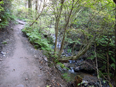 e0043700_21461770.jpg