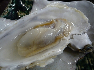 ブリトロ_f0157910_14421289.jpg
