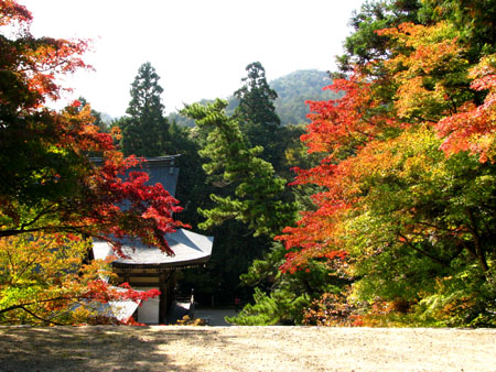 紅葉を訪ねて-神護寺1_e0048413_2142833.jpg