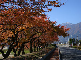 c0047814_1737555.jpg