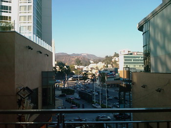 Ｌ．Ａ_d0004617_1318639.jpg