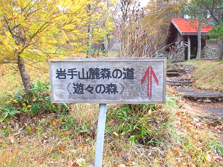 秋の新人戦_c0165824_17515987.jpg