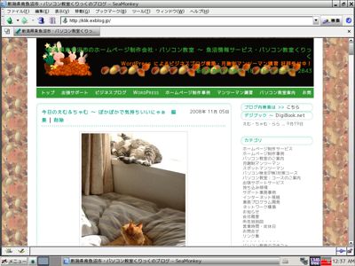 Puppy Linux をう〜んと古いパソコンにインストールしてみた_d0015124_22272151.jpg
