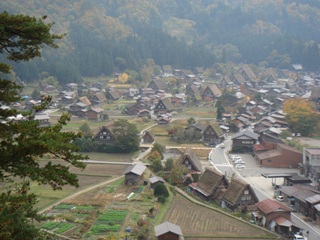 d0134824_654671.jpg