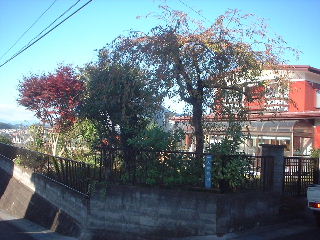 f0031037_21344555.jpg