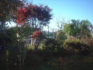 f0031037_2134620.jpg