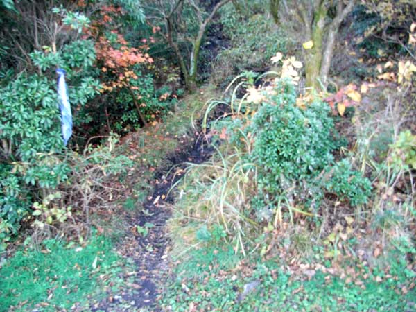 c0047341_837445.jpg