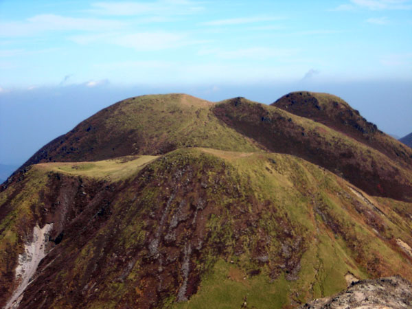 c0047341_8384034.jpg