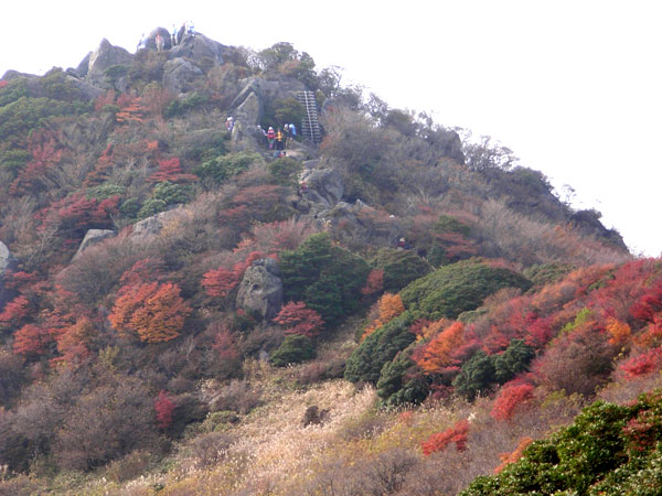 c0047341_8481785.jpg
