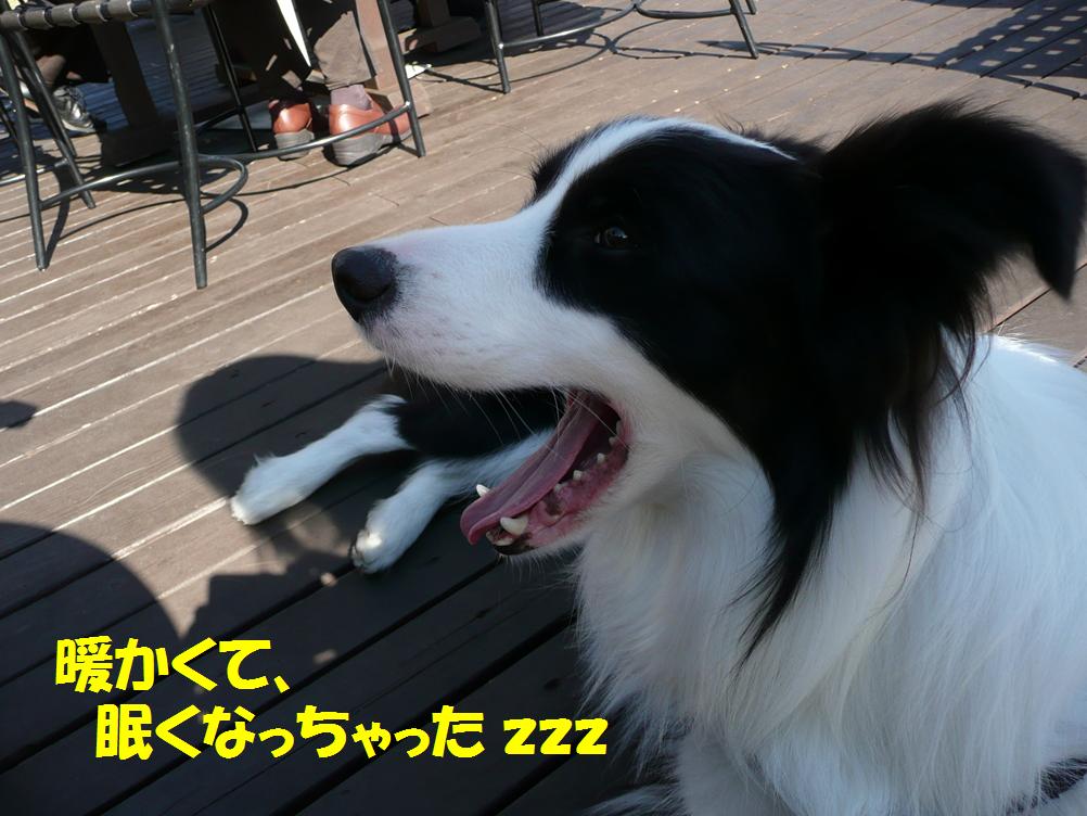 c0147241_23225580.jpg