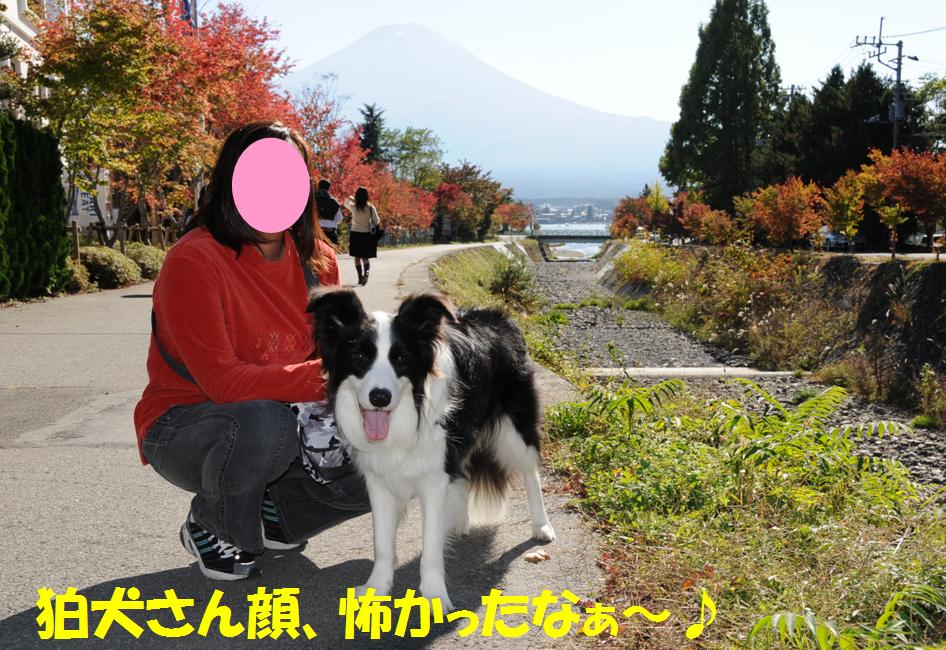 c0147241_2323193.jpg