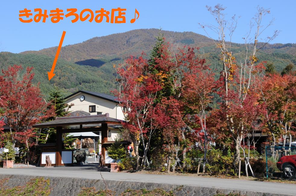 c0147241_2323231.jpg