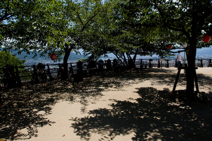 f0137354_8252989.jpg