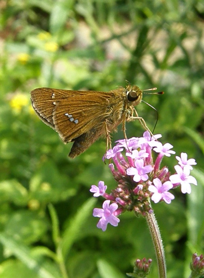 e0064158_04445.jpg