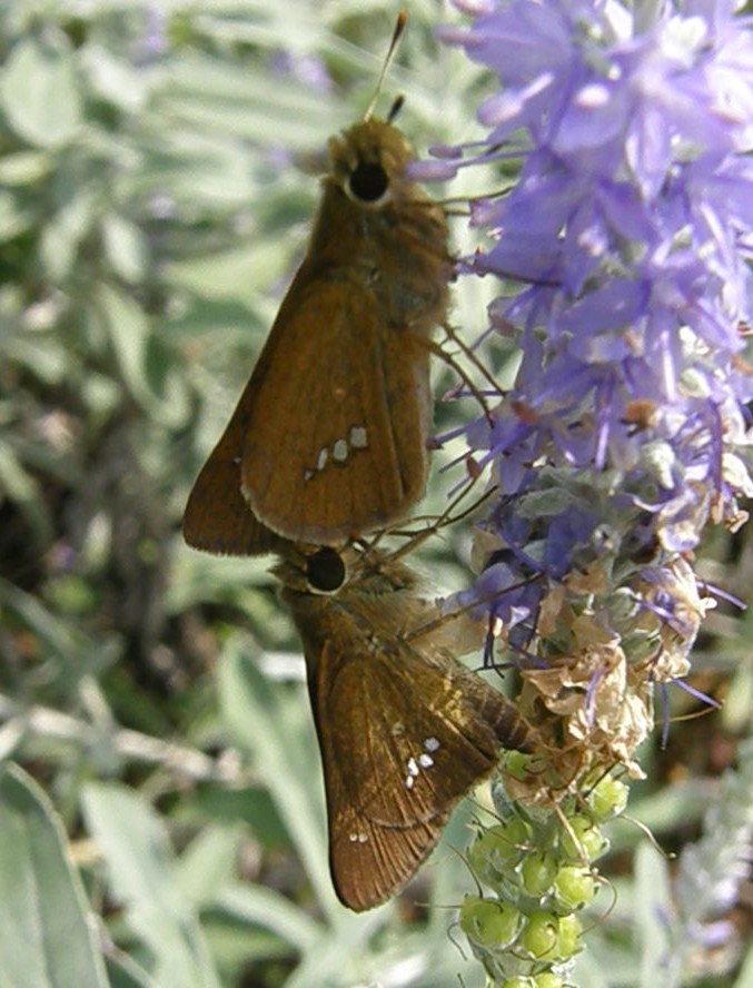 e0064158_09787.jpg