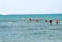 d0114060_11131667.jpg