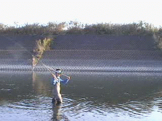 f0084561_1653348.gif