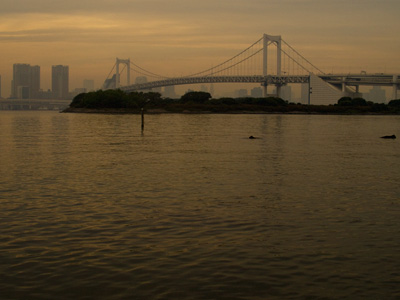 c0177264_1937257.jpg