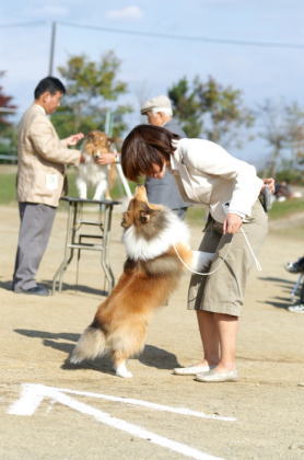 JCC宮城_f0126965_10383398.jpg