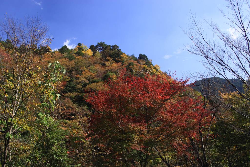 大台ヶ原の近くの国道より_e0003177_18574734.jpg