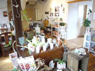 f0091282_1126577.jpg