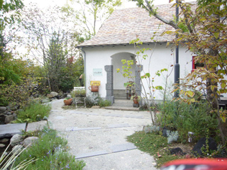 f0091282_1131878.jpg