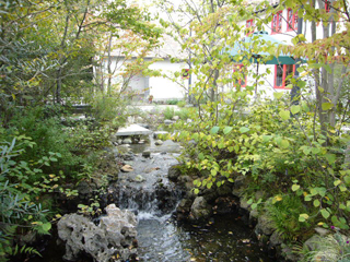 f0091282_11421916.jpg