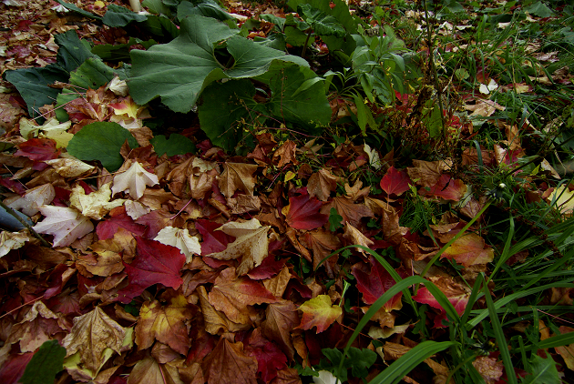 f0163583_010053.jpg