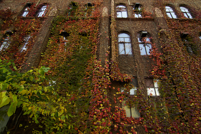 f0163583_074650.jpg