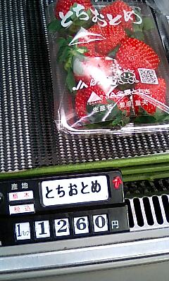 来年1月、2月ワンマンライブやりますよ☆_e0146185_3501967.jpg